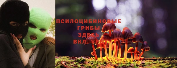 2c-b Алексин