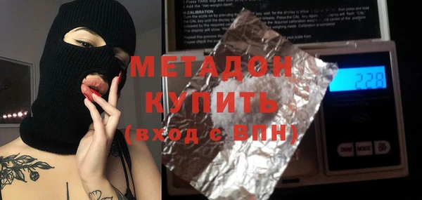прущие грибы Алзамай
