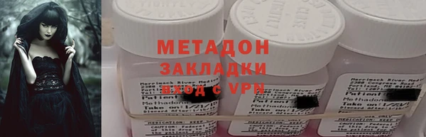 прущие грибы Алзамай