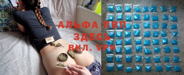 прущие грибы Алзамай