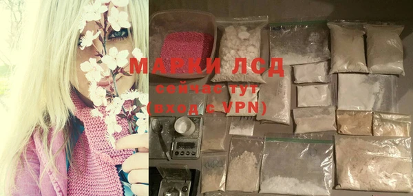 прущие грибы Алзамай