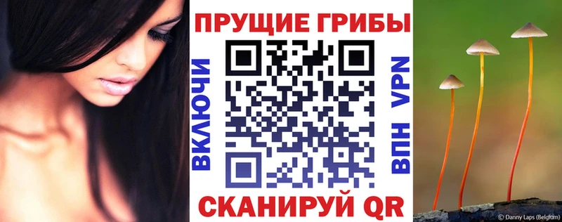 Галлюциногенные грибы Cubensis  Баймак 
